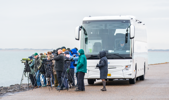 (Zeeland). Foto van Frank Verheij.
Schuilen bij de bus
